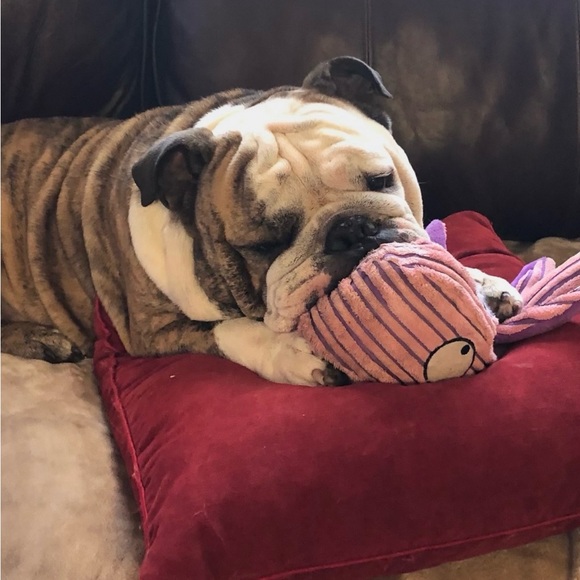 Meet your Posher, Candice - Picture 6 of 12